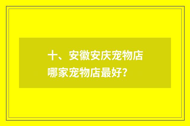 十、安徽安庆宠物店哪家宠物店最好？