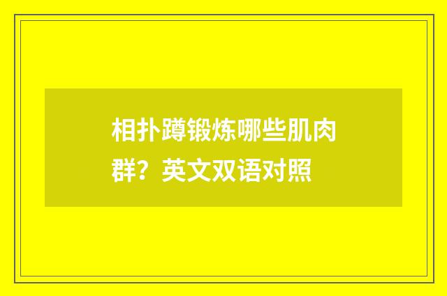 相扑蹲锻炼哪些肌肉群?英文双语对照