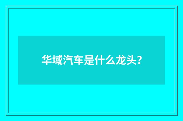 华域汽车是什么龙头?