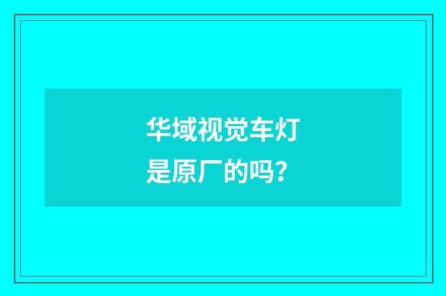 华域视觉车灯是原厂的吗?