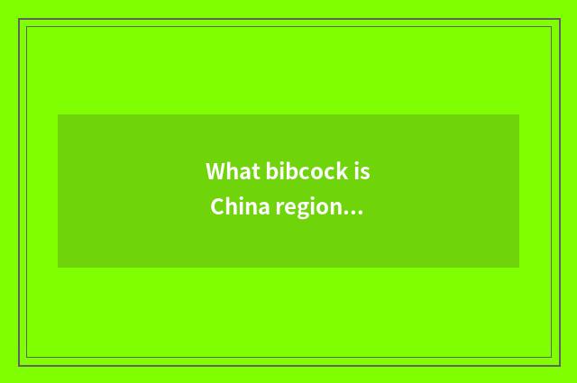 What bibcock is China region car?
