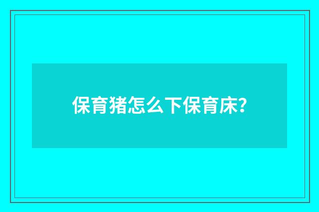 保育猪怎么下保育床?