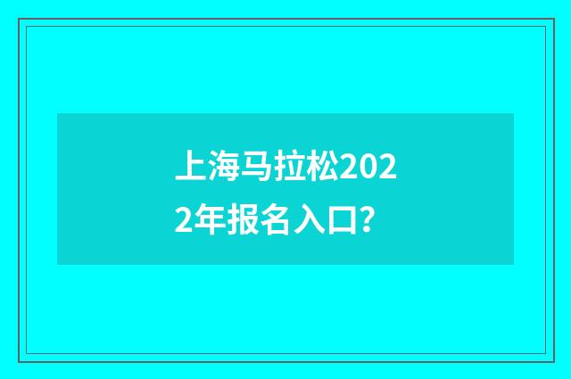 上海马拉松2022年报名入口?
