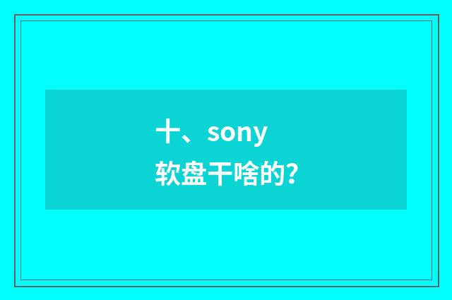 十、sony软盘干啥的?
