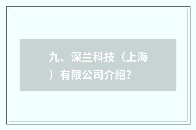 九、深兰科技(上海)有限公司介绍?