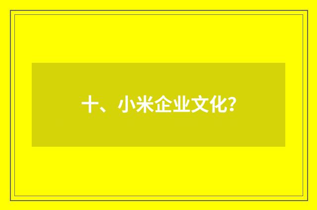 十、小米企业文化？