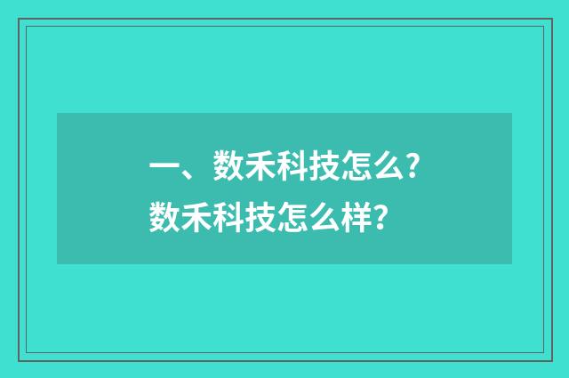 一、数禾科技怎么?数禾科技怎么样？