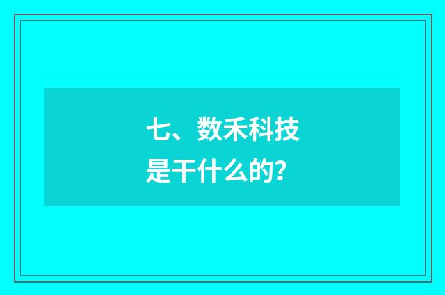 七、数禾科技是干什么的?