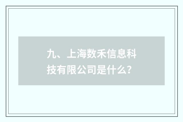 九、上海数禾信息科技有限公司是什么？