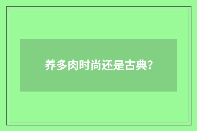 养多肉时尚还是古典?
