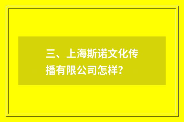三、上海斯诺文化传播有限公司怎样?
