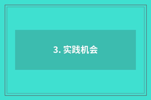 3. 实践机会