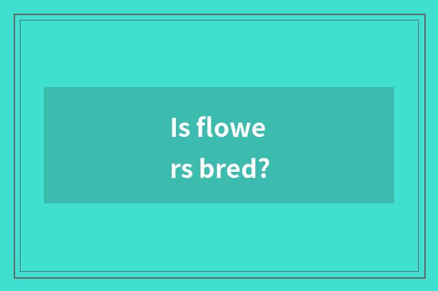 Is flowers bred?