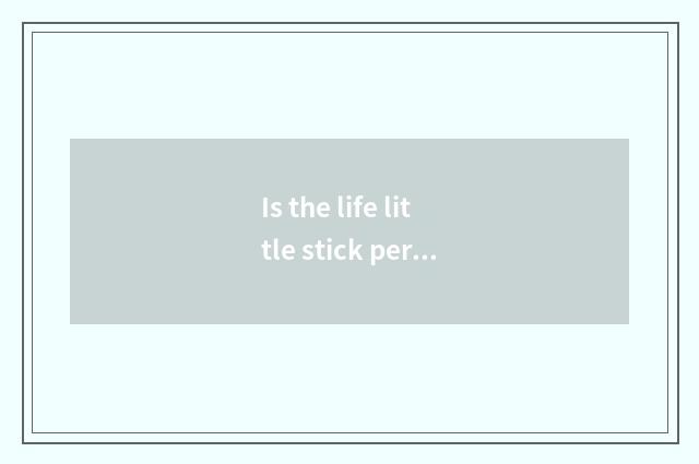 Is the life little stick person what meaning be?