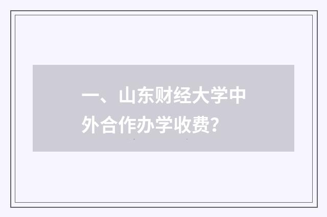 一、山东财经大学中外合作办学收费？