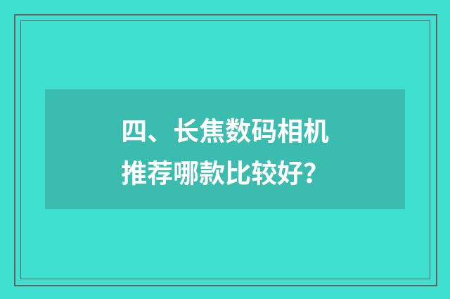 四、长焦数码相机推荐哪款比较好？
