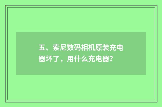 五、索尼数码相机原装充电器坏了，用什么充电器？
