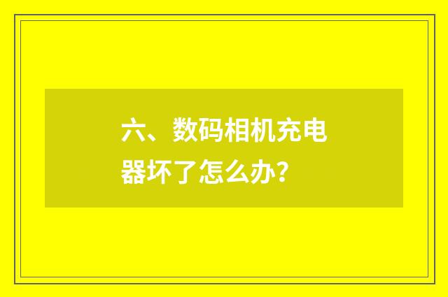 六、数码相机充电器坏了怎么办?