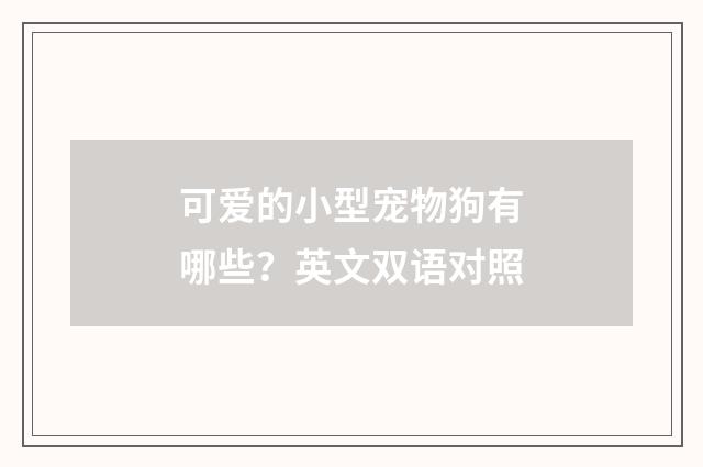 可爱的小型宠物狗有哪些?英文双语对照