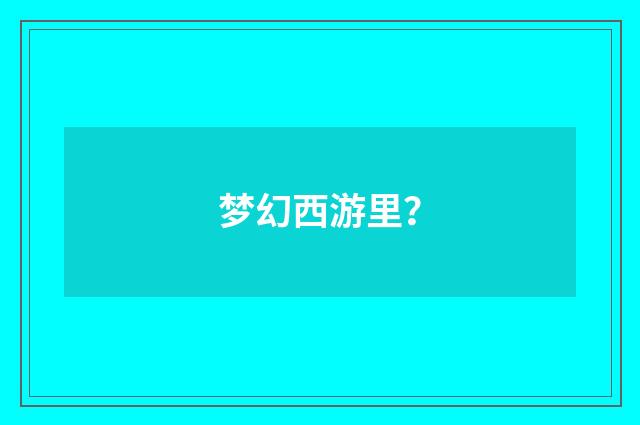 梦幻西游里?