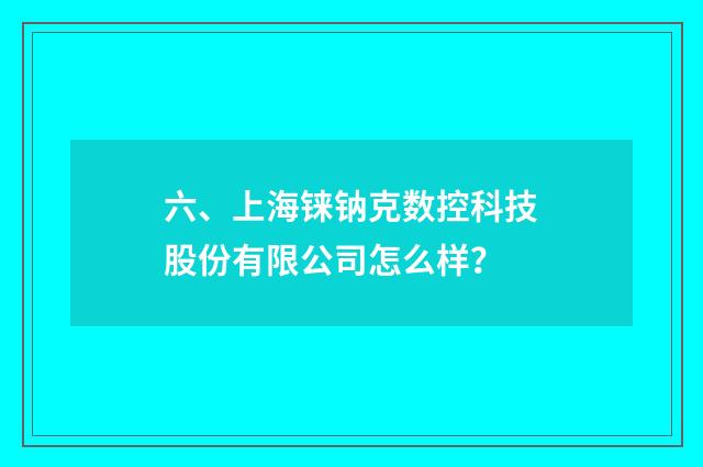 六、上海铼钠克数控科技股份有限公司怎么样？