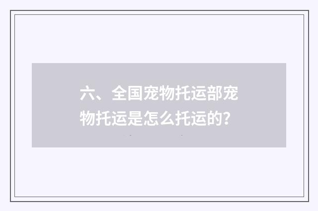 六、全国宠物托运部宠物托运是怎么托运的?