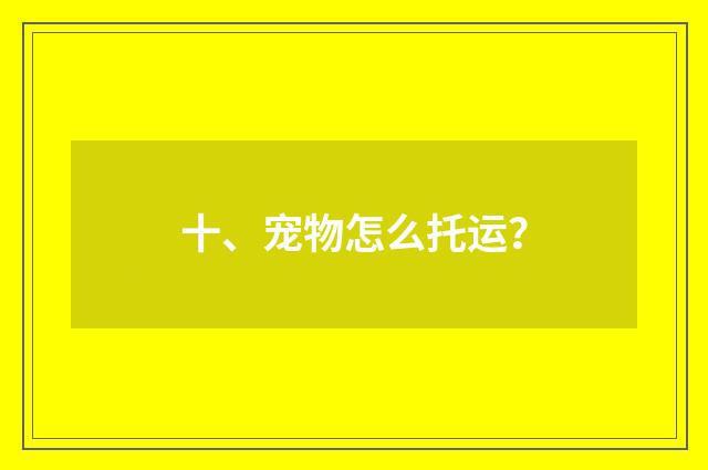 十、宠物怎么托运?