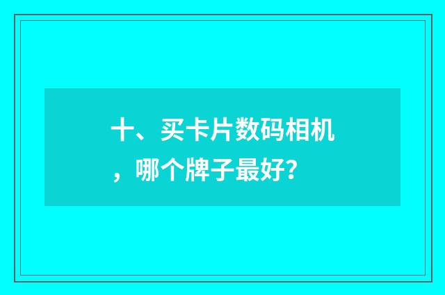 十、买卡片数码相机，哪个牌子最好？