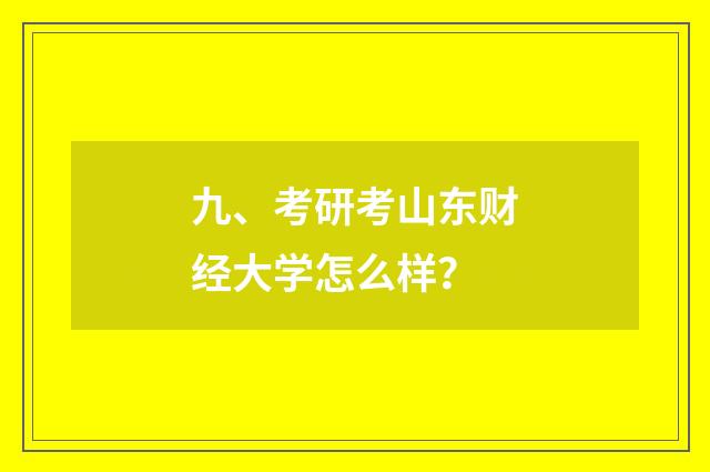 九、考研考山东财经大学怎么样?