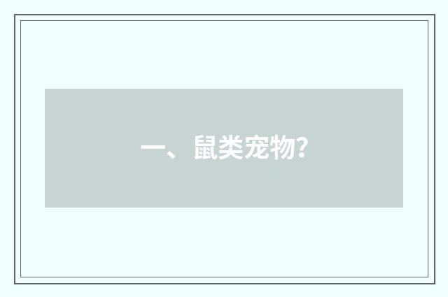 一、鼠类宠物?