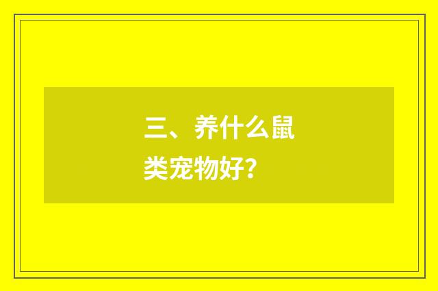 三、养什么鼠类宠物好?