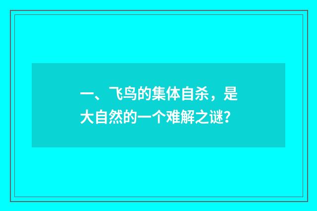 一、飞鸟的集体自杀,是大自然的一个难解之谜?