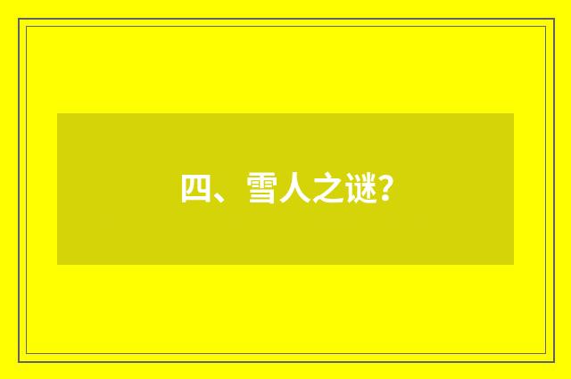 四、雪人之谜?