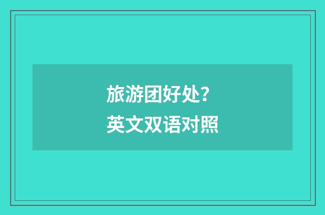 旅游团好处?英文双语对照