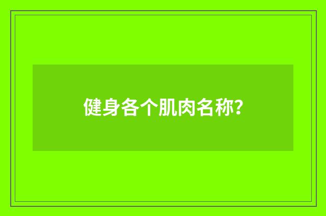 健身各个肌肉名称?