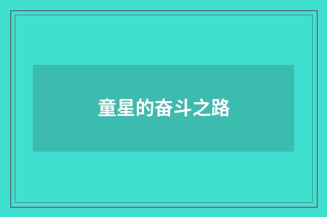 童星的奋斗之路