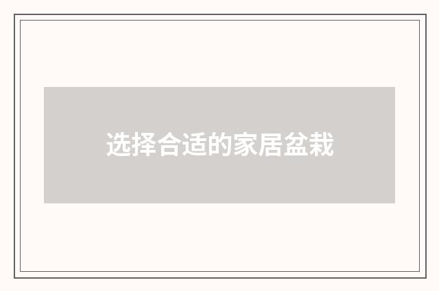 选择合适的家居盆栽
