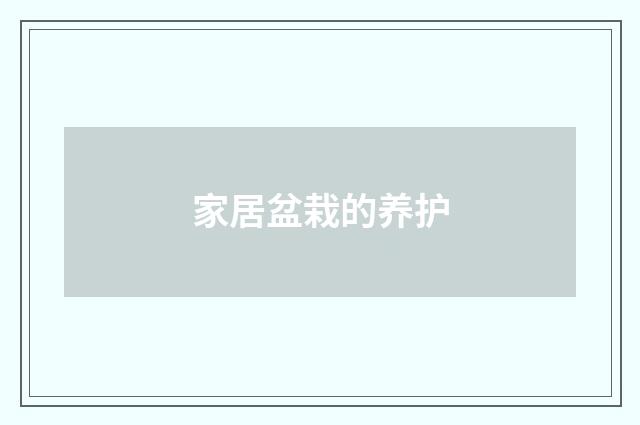 家居盆栽的养护