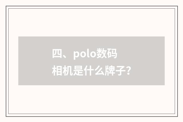 四、polo数码相机是什么牌子?