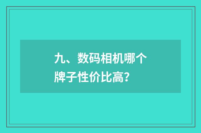 九、数码相机哪个牌子性价比高?