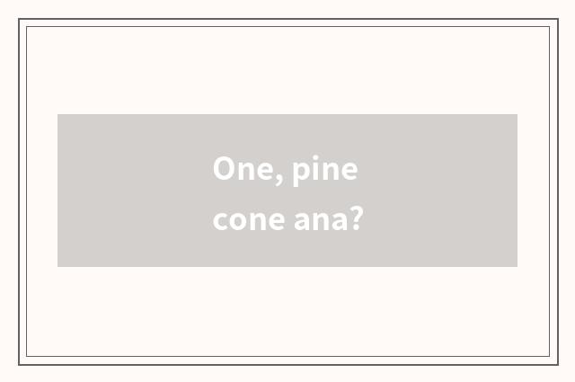 One, pinecone ana?