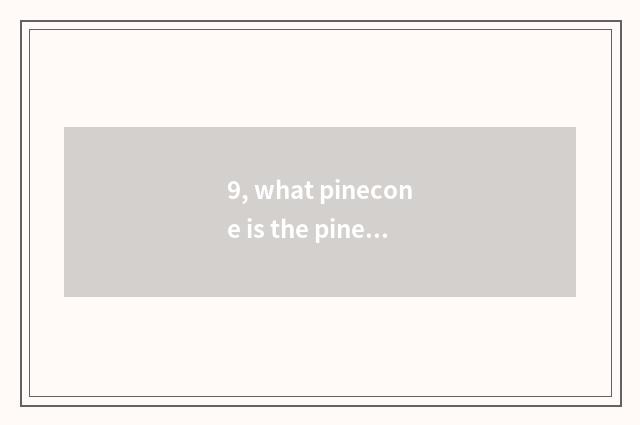 9, what pinecone is the pinecone that takes thorn after all?