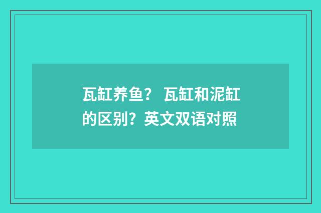 瓦缸养鱼? 瓦缸和泥缸的区别?英文双语对照
