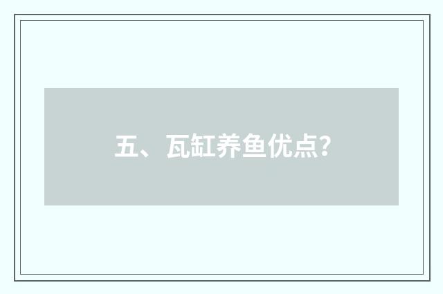 五、瓦缸养鱼优点?