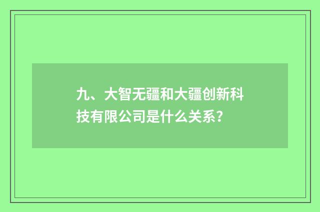 九、大智无疆和大疆创新科技有限公司是什么关系?