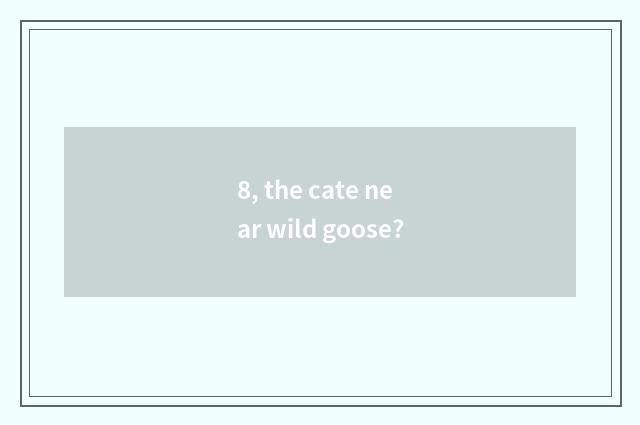 8, the cate near wild goose?