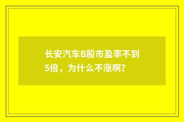 长安汽车B股市盈率不到5倍，为什么不涨啊？