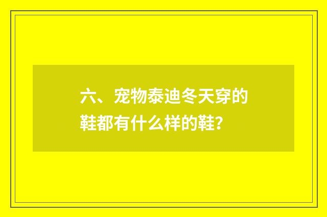 六、宠物泰迪冬天穿的鞋都有什么样的鞋?