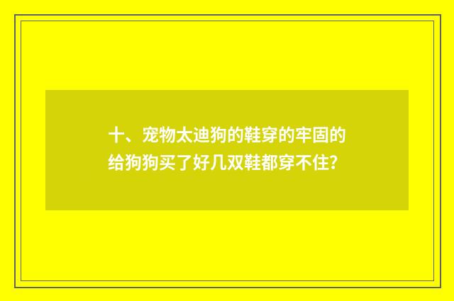 十、宠物太迪狗的鞋穿的牢固的给狗狗买了好几双鞋都穿不住？