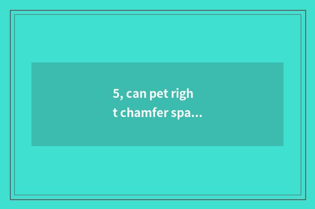 5, can pet right chamfer spark study fast shoe?
